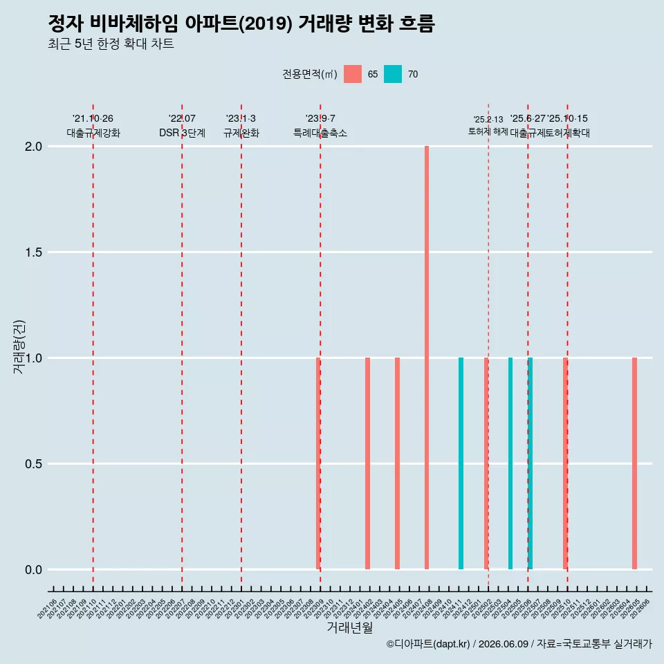정자 비바체하임 아파트(2019) 거래량 변화 흐름